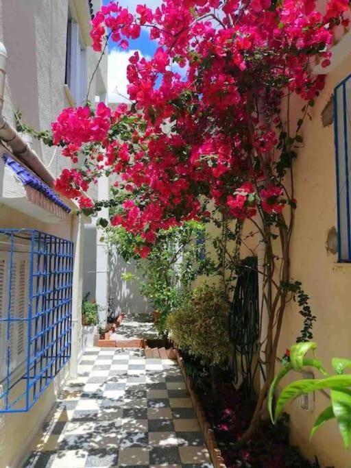 Maison A El Omrane . ตูนิส ภายนอก รูปภาพ
